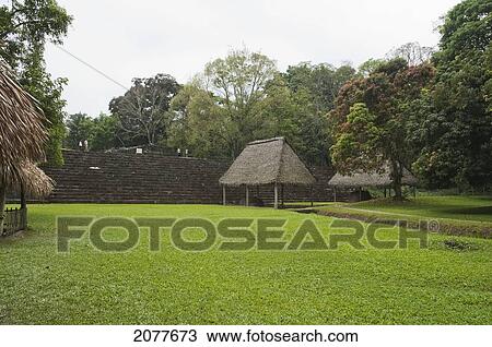 Great Plaza, Quirigu View Large Photo Image Stock Image - Great Plaza, Quirigu. Fotosearch