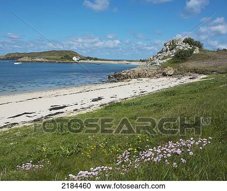 Great Porth, Bryher, Isles Of Scilly, Cornwall, United Kingdom, Europe View Large Photo Image Stock Image - Great Porth, Bryher, Isles Of Scilly, Cornwall, United Kingdom, Europe. Fotosearch