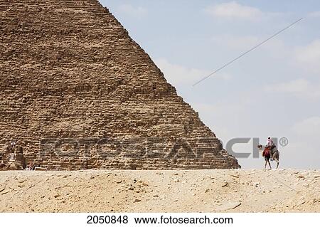 Stock Photo - Great Pyramid Of Khufu (Cheops) And Camel Driver, Giza, Al Jizah, Egypt. Fotosearch