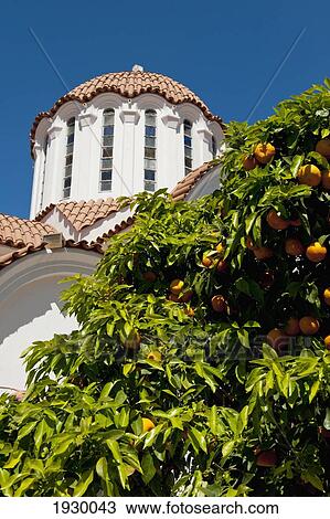 Stock Image - Greece, Crete, Church in Centre of Village With Orange Tree; Fodele. Fotosearch
