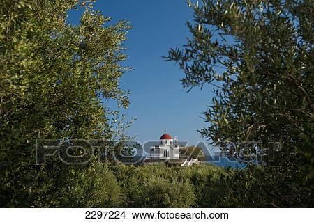Greece, Crete, Looking through olive grove to small church near; Mirtos View Large Photo Image Picture - Greece, Crete, Looking through olive grove to small church near; Mirtos. Fotosearch