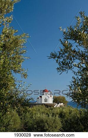 Stock Photo - Greece, East of Mirtos; Crete, Looking through Olive Grove to Church. Fotosearch