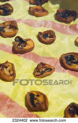 Greece, Halkidiki, Apricot halves drying in sun; Sithonia View Large Photo Image Stock Image - Greece, Halkidiki, Apricot halves drying in sun; Sithonia. Fotosearch
