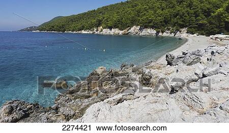 Greece, one of the main locations for the film 'Mamma Mia'; Skopelos Island, Kastani Bay View Large Photo Image Stock Image - Greece, one of the main locations for the film 'Mamma Mia'; Skopelos Island, Kastani Bay. Fotosearch