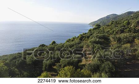 Stock Photo - Greece, Skopelos is one of several islands which comprise the Northern Sporades island group.; Skopelos Island. Fotosearch
