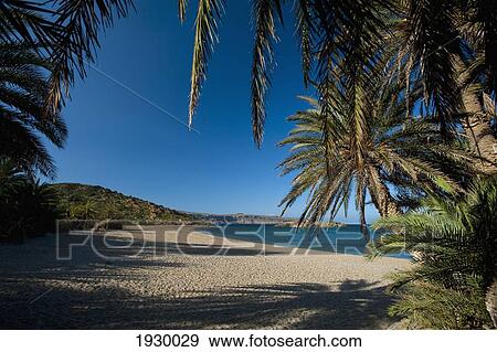 Greece, Vai Beach and Palm Trees; Crete View Large Photo Image Stock Photo - Greece, Vai Beach and Palm Trees; Crete. Fotosearch