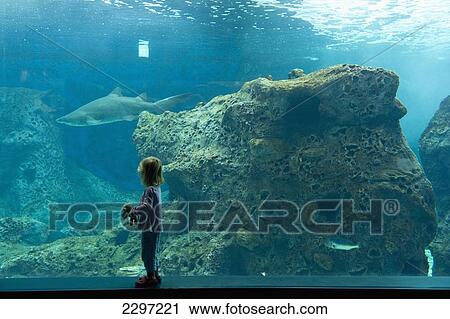 Stock Image - Greece, Young girl looking at shark and other fish in large tank in Cretaquarium; Crete. Fotosearch