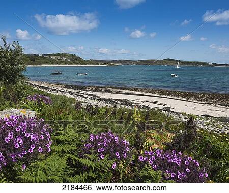 Green Bay, Bryher, Isles Of Scilly, United Kingdom, Europe Stock ...