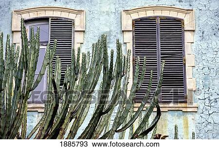 Stock Image - Green Building With Two Shuttered Windows And Cactus. Fotosearch