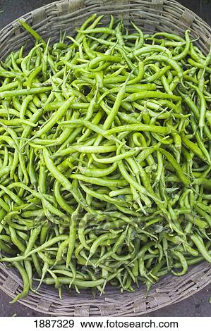Green Chilies In Basket, Aerial View View Large Photo Image Stock Photo - Green Chilies In Basket, Aerial View. Fotosearch