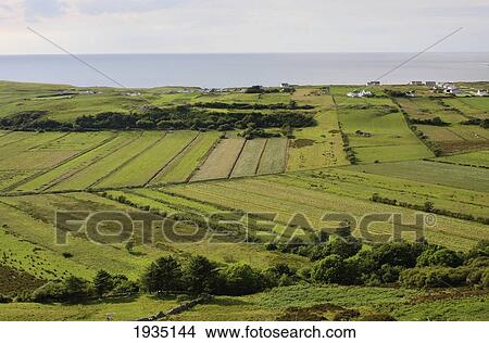 Picture - Green Fields On Inishowen Peninsula; Urris, County Donegal, Ireland. Fotosearch