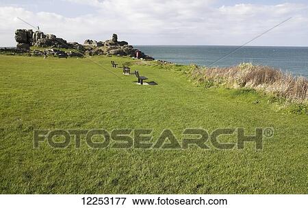 Stock Photo - Green grass at The Island, St Ives coast; Cornwall, England. Fotosearch