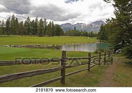 Stock Photo - Green Grass Field Lake With The Mountains In The Distance; Alberta Canada. Fotosearch