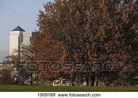 Greenwich Park With Canary Wharf In Background, London, Uk View Large Photo Image Stock Photo - Greenwich Park With Canary Wharf In Background, London, Uk. Fotosearch