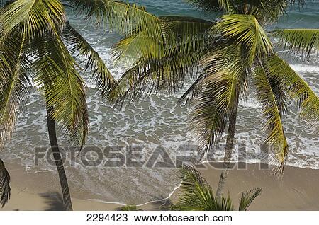 Grenada, Caribbean, Laurant Point; Saueurs, Elevated view of beach at Petite Anse Hotel View Large Photo Image Stock Image - Grenada, Caribbean, Laurant Point; Saueurs, Elevated view of beach at Petite Anse Hotel. Fotosearch