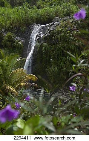 Grenada, Concord Waterfall at St John district; Caribbean View Large Photo Image Stock Image - Grenada, Concord Waterfall at St John district; Caribbean. Fotosearch