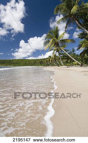 Stock Photo - Grenada, Looking along beach; La Sagesse. Fotosearch