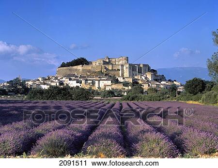 Stock Image - Grignan Chatau And Lavender Field, Drome, France.. Fotosearch