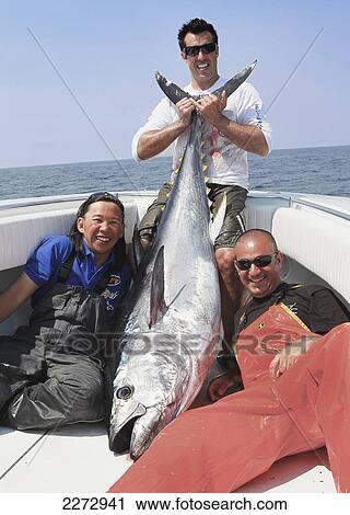 Group In A Boat Proudly Showing Off A Large Fish; Massachusetts, Usa View Large Photo Image Stock Image - Group In A Boat Proudly Showing Off A Large Fish; Massachusetts, Usa. Fotosearch