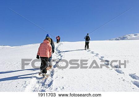 Stock Image - Group Of People Snowshoeing, Rear View, Grimsel Pass, Goms Valley, Switzerland. Fotosearch