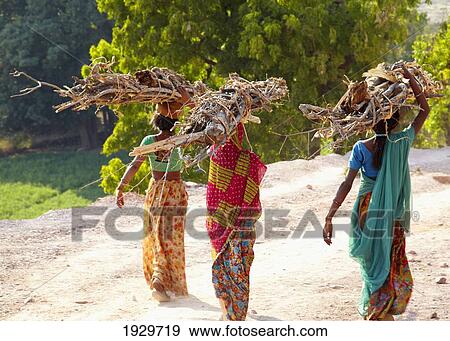 Group of women carrying firewood near Bijaipur2 Rajasthan India View Large Photo Image Stock Photo - Group of women carrying firewood near Bijaipur2 Rajasthan India. Fotosearch