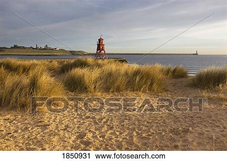Groyne Lighthouse View Large Photo Image Stock Image - Groyne Lighthouse. Fotosearch