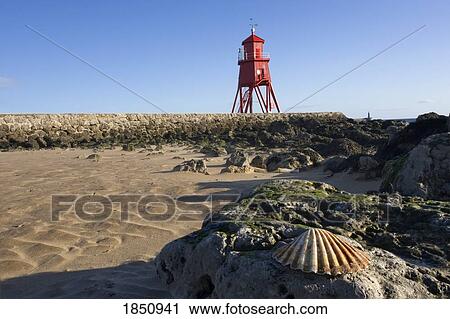 Groyne Lighthouse View Large Photo Image Stock Image - Groyne Lighthouse. Fotosearch