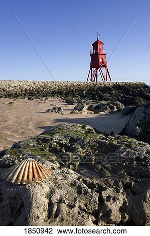 Groyne Lighthouse; Tyne And Wear, England View Large Photo Image Stock Image - Groyne Lighthouse; Tyne And Wear, England. Fotosearch