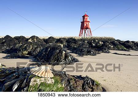 Groyne Lighthouse; Tyne And Wear, England View Large Photo Image Stock Image - Groyne Lighthouse; Tyne And Wear, England. Fotosearch