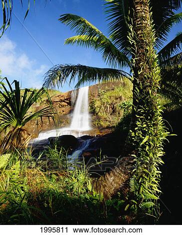 Stock Image - Guam, Inajaran, Fintasa River And Falls With Palms And Blue Skies. Fotosearch
