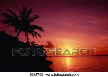 Guam, Pago Bay, Sunrise And Palm Tree, Bright Pink Sky View Large Photo Image Stock Photo - Guam, Pago Bay, Sunrise And Palm Tree, Bright Pink Sky. Fotosearch