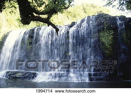 Picture - Guam, Talofofo Falls, View Of Falls Spilling Into Pool, Surrounded By Trees. Fotosearch