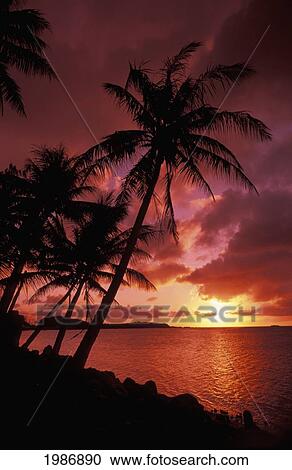 Guam, Tumon Bay, Bright Red Sunset And Silhouetted Palms On Beach. View Large Photo Image Stock Image - Guam, Tumon Bay, Bright Red Sunset And Silhouetted Palms On Beach.. Fotosearch