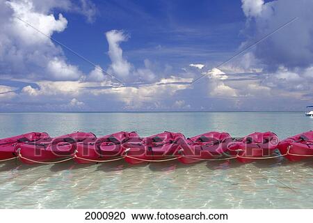 Guam, Tumon Bay, Many Pink Kayaks Lined Up Tied Together Shallow Ocean View Large Photo Image Stock Image - Guam, Tumon Bay, Many Pink Kayaks Lined Up Tied Together Shallow Ocean. Fotosearch