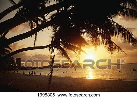 Guam, Tumon Bay, Silhouetted Palms Frame Beach Scene With People, Golden Sunset And Reflections View Large Photo Image Stock Photography - Guam, Tumon Bay, Silhouetted Palms Frame Beach Scene With People, Golden Sunset And Reflections. Fotosearch