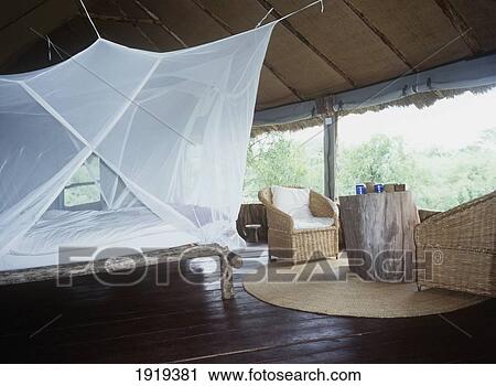 Guest Room, Tree Tops View Large Photo Image Stock Image - Guest Room, Tree Tops. Fotosearch