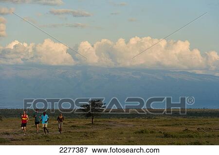 Guide and tourists on run along track with Mt Kenya behind, Ol Pejeta Conservancy; Kenya View Large Photo Image Stock Photo - Guide and tourists on run along track with Mt Kenya behind, Ol Pejeta Conservancy; Kenya. Fotosearch