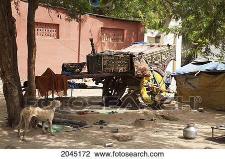 Gypsy Encampment, Gwalior, Madhya Pradesh, India View Large Photo Image Stock Image - Gypsy Encampment, Gwalior, Madhya Pradesh, India. Fotosearch