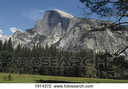 Halfdome From Yosemite Valley View Large Photo Image Stock Image - Halfdome From Yosemite Valley. Fotosearch