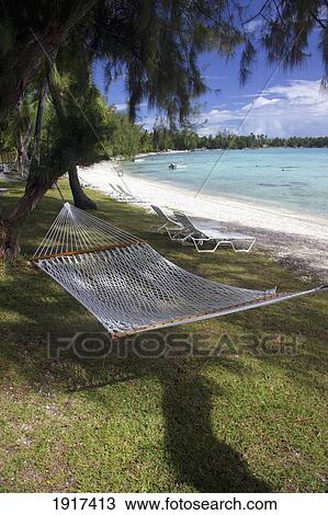 Stock Image - Hammock Near Beach. Fotosearch