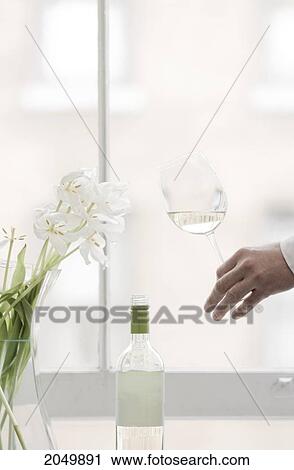 Stock Image - Hand Holding Glass Of White Wine With White Tulips At A Window Ledge. Fotosearch