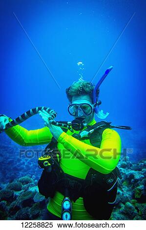 Stock Photography - Handling a venemous snake in Niue's famed Snake Trench; Niue Island. Fotosearch