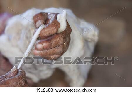 Hands of a woman spinning wool, Jatun Yampara Indigenous Community, Chuquisaca Department, Bolivia View Large Photo Image Stock Image - Hands of a woman spinning wool, Jatun Yampara Indigenous Community, Chuquisaca Department, Bolivia. Fotosearch