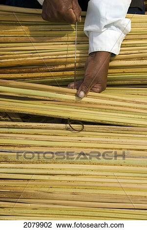 Hands Tying Reeds Together, Isla Flotantes, Uros Islands, Lake Titicaca, Puno, Peru View Large Photo Image Stock Image - Hands Tying Reeds Together, Isla Flotantes, Uros Islands, Lake Titicaca, Puno, Peru. Fotosearch
