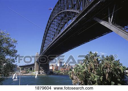 Picture - Harbor Bridge From Dawes Point Park. Fotosearch
