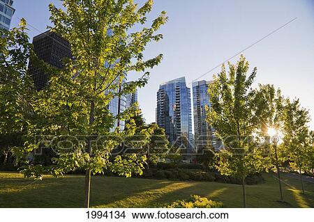 Picture - Harbor Green Park, Vancouver, British Columbia, Canada. Fotosearch