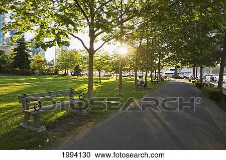 Harbor Green Park, Vancouver, British Columbia, Canada View Large Photo Image Stock Image - Harbor Green Park, Vancouver, British Columbia, Canada. Fotosearch
