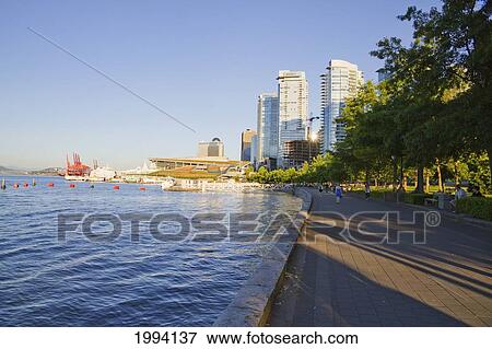 Harbor Green Park, Vancouver, British Columbia, Canada View Large Photo Image Stock Photo - Harbor Green Park, Vancouver, British Columbia, Canada. Fotosearch