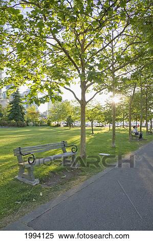 Harbor Green Park, Vancouver, British Columbia, Canada View Large Photo Image Stock Photography - Harbor Green Park, Vancouver, British Columbia, Canada. Fotosearch
