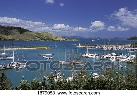 Stock Photo - Harbor, Hamilton Island, High Angle View. Fotosearch